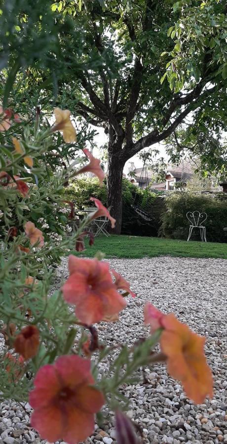 Corcelles-les-Arts La Cuverie Du Chateau מראה חיצוני תמונה